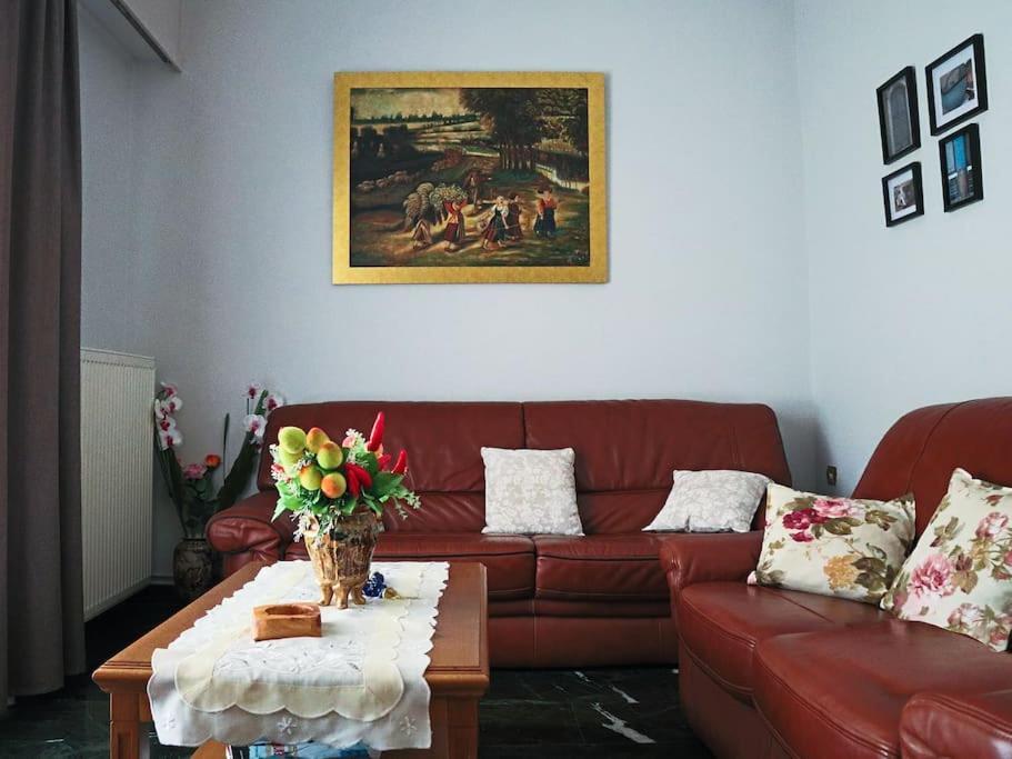 Apartment νatasas Place In Evia Amarynthos